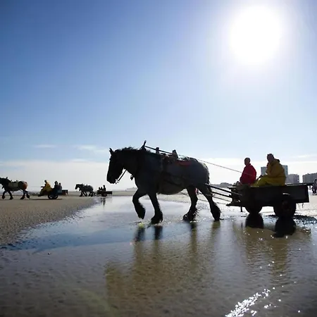 아파트 In Near The *