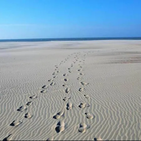 In Near The * 니우포르트