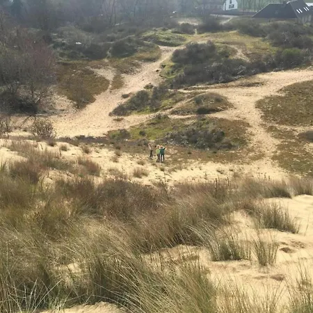 In Near The * 니우포르트