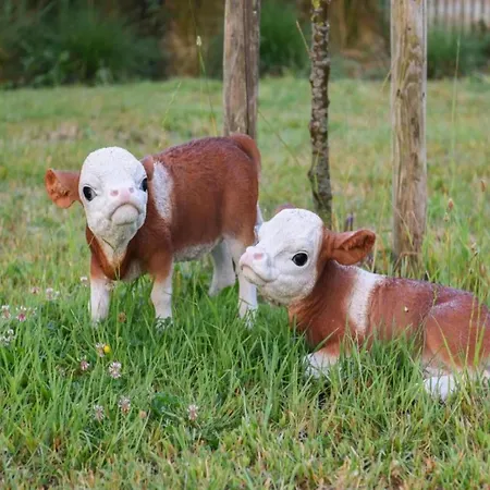 In Near The Lägenhet *