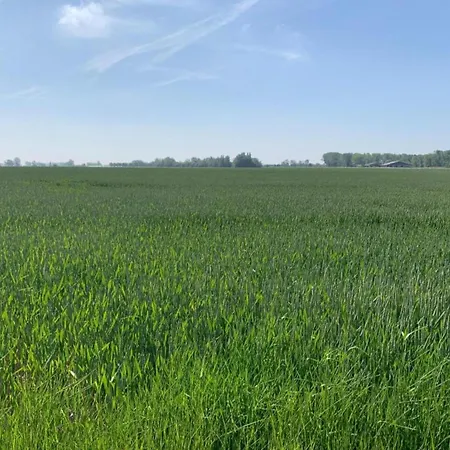 In Near The * 니우포르트